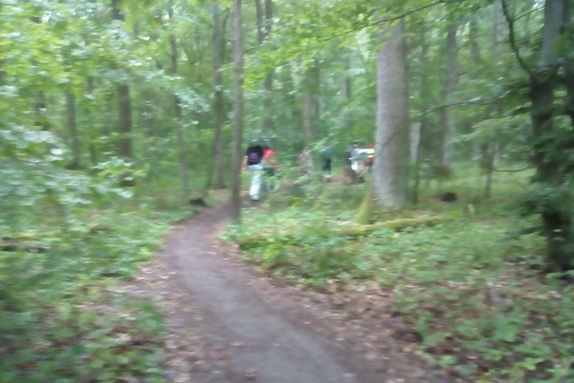 Regen bei der Wanderung