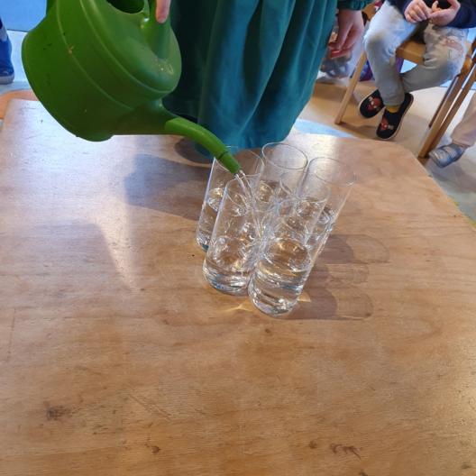 Farbexperiment - Tulpen