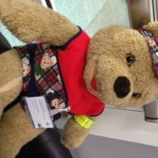 Teddy-Bären-Krankenhaus