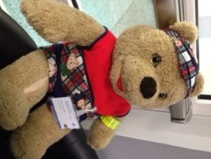 Teddy-Bären-Krankenhaus