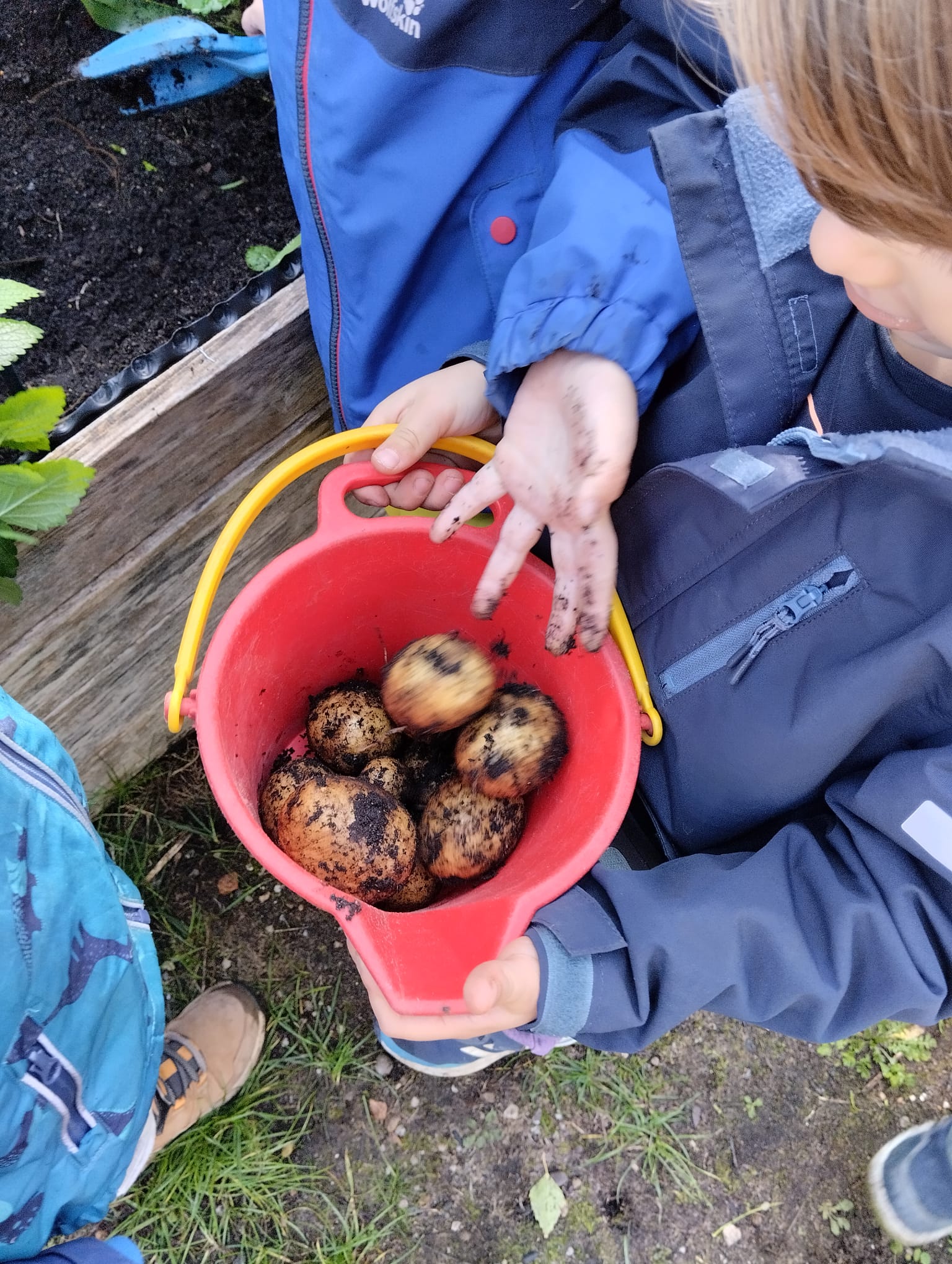 Thema Herbst/Kartoffel