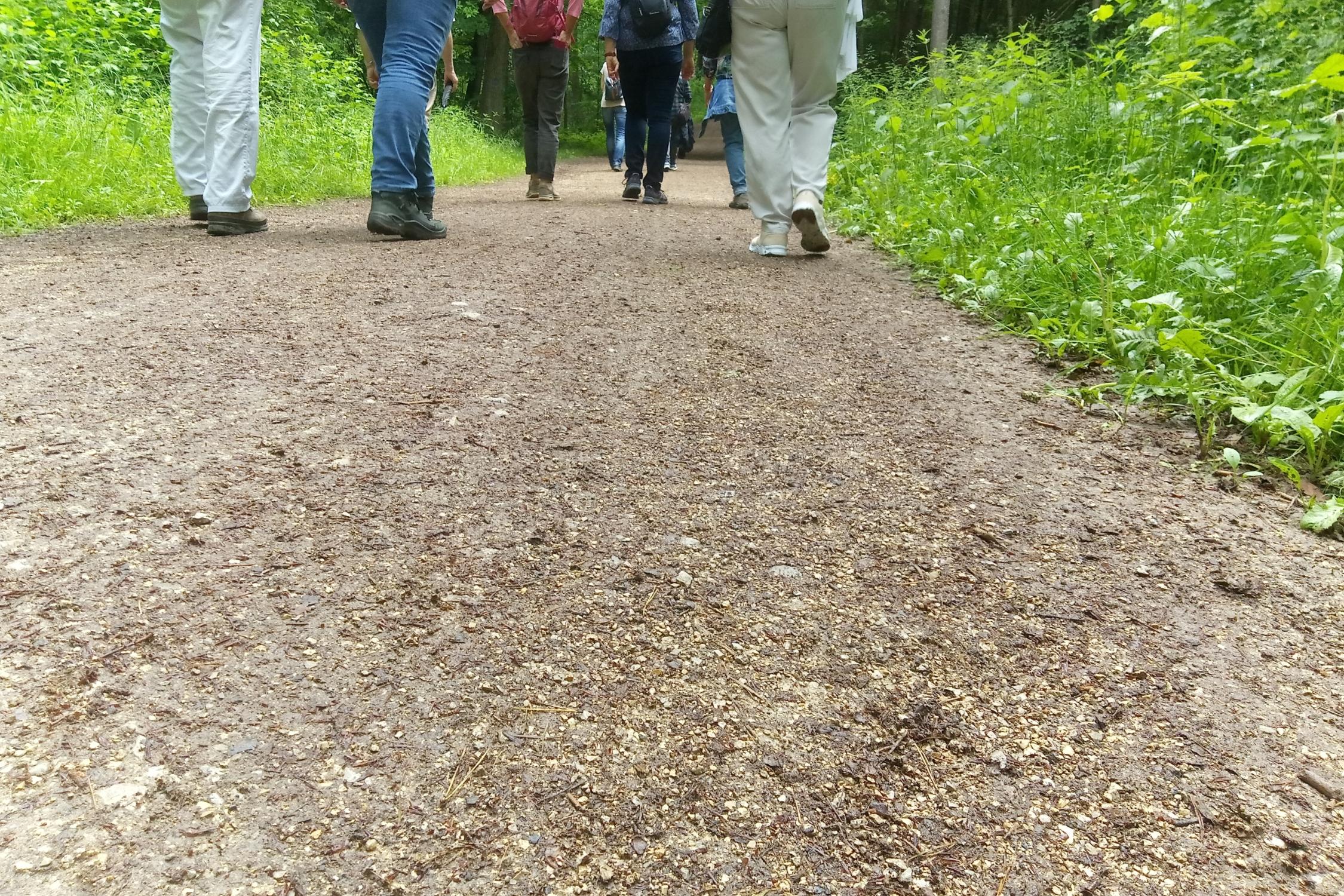 Wanderung nach Atzelsberg