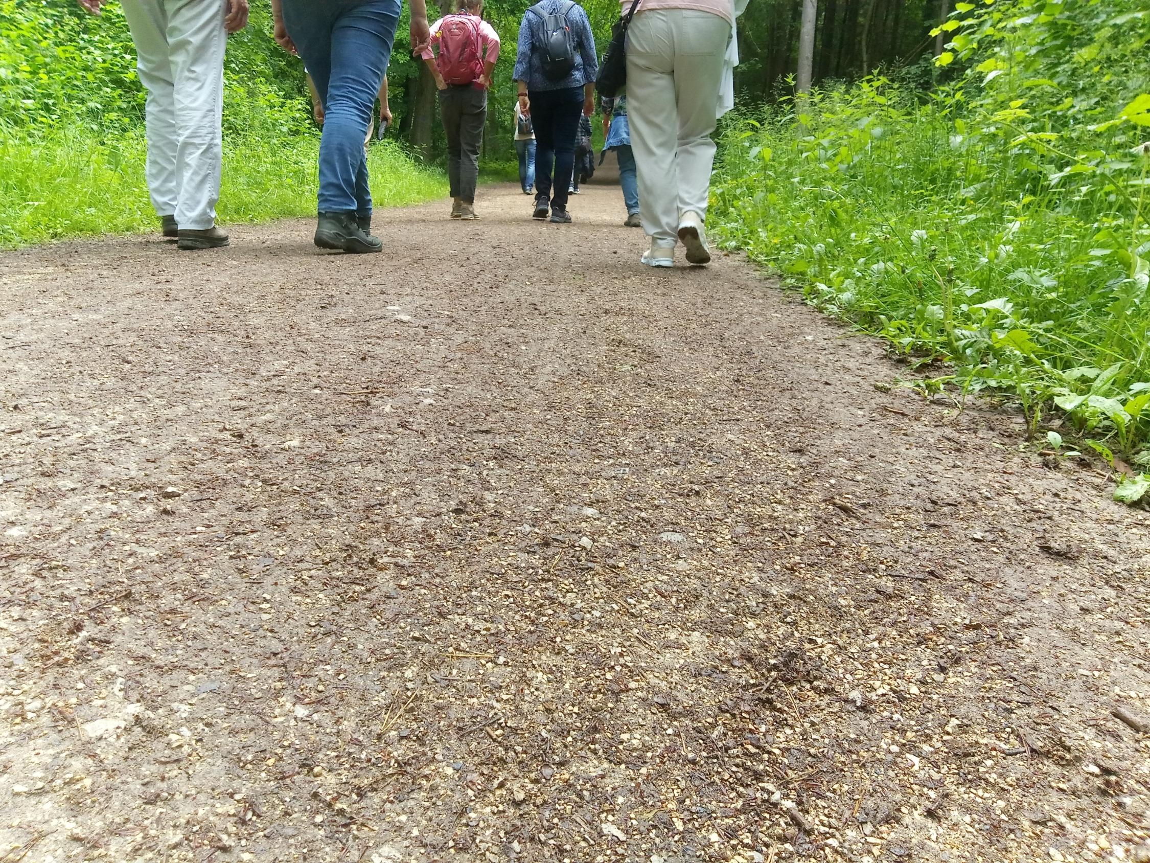 Wanderung nach Atzelsberg