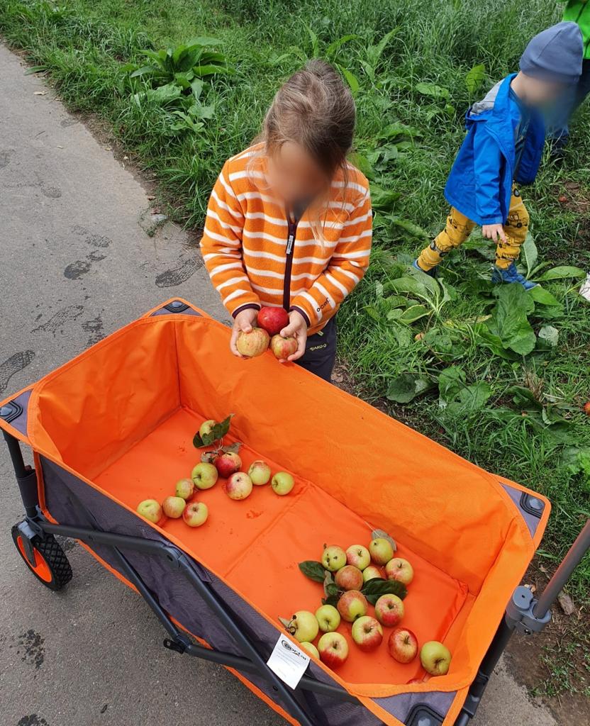 Wir beschäftigen uns mit dem Thema Apfel
