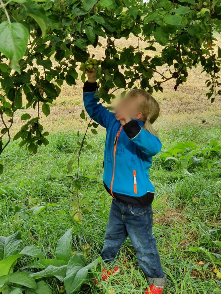 Wir beschäftigen uns mit dem Thema Apfel